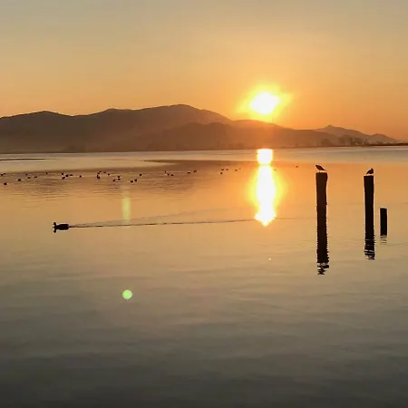 Vista Torre del Lago Puccini