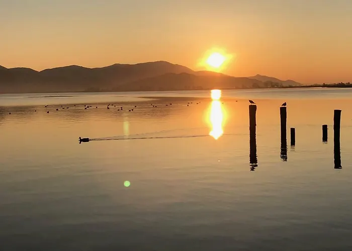 Vista Torre del Lago Puccini